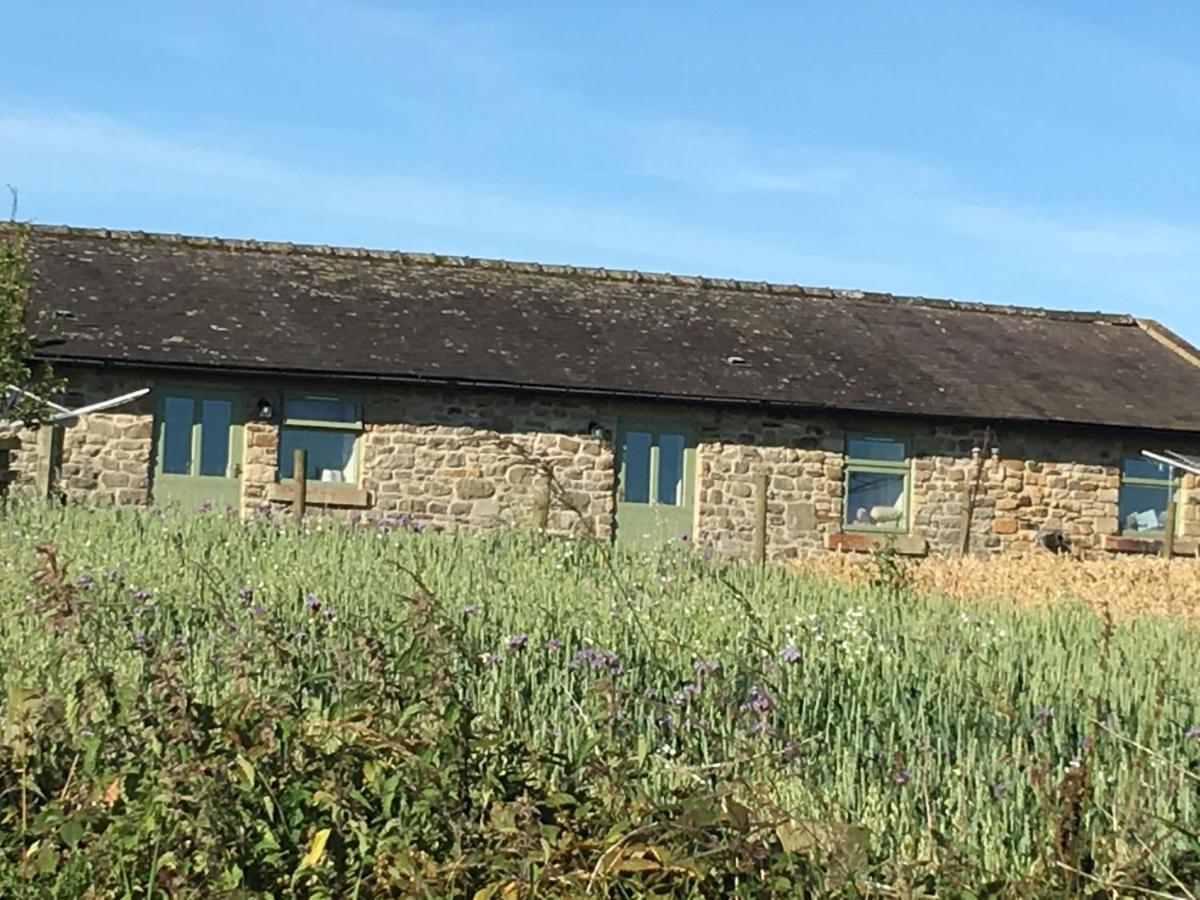 Riding Farm Cottages غيتْسْهيد المظهر الخارجي الصورة